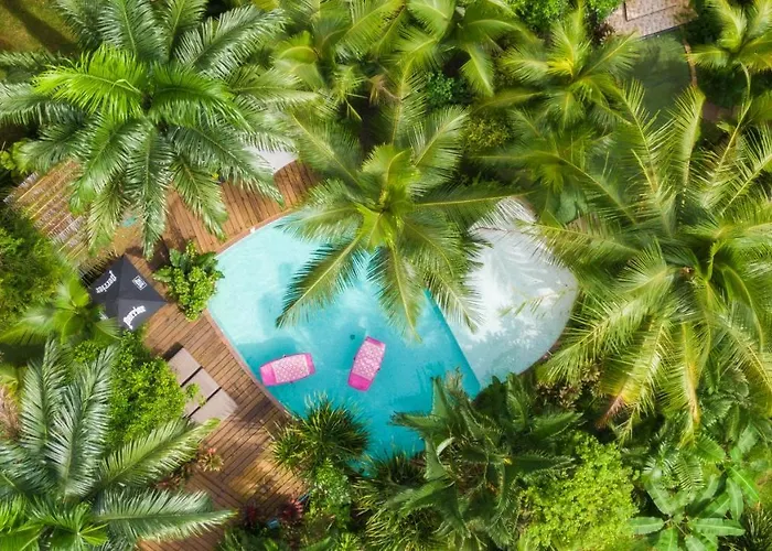 Monkey Lodge Panama