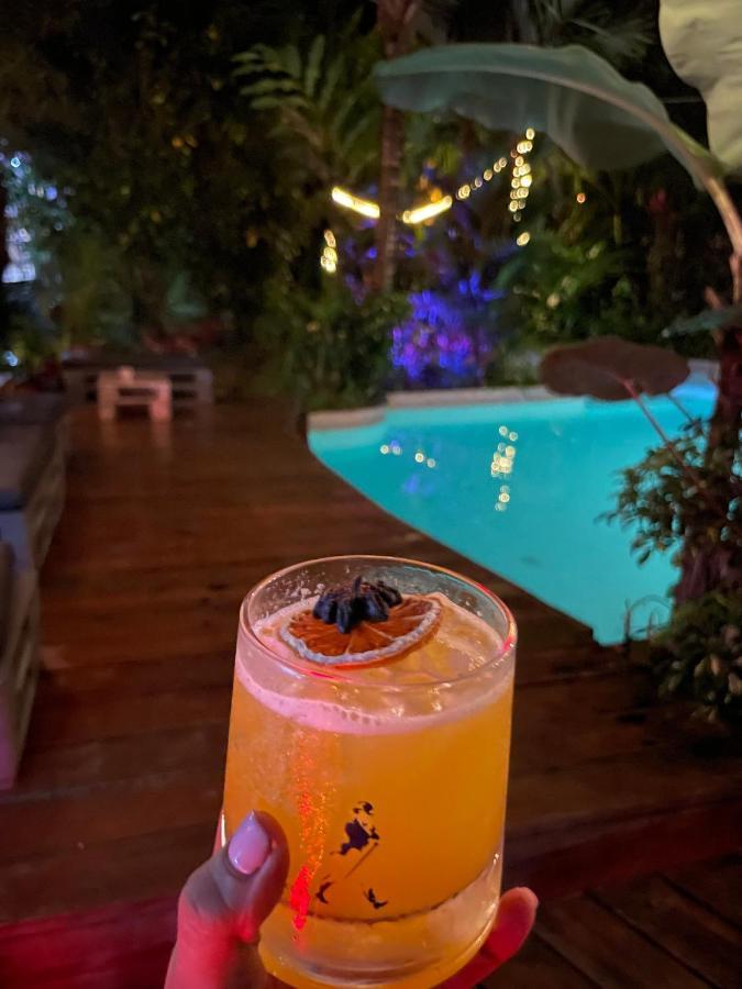 Hotel Monkey Panama