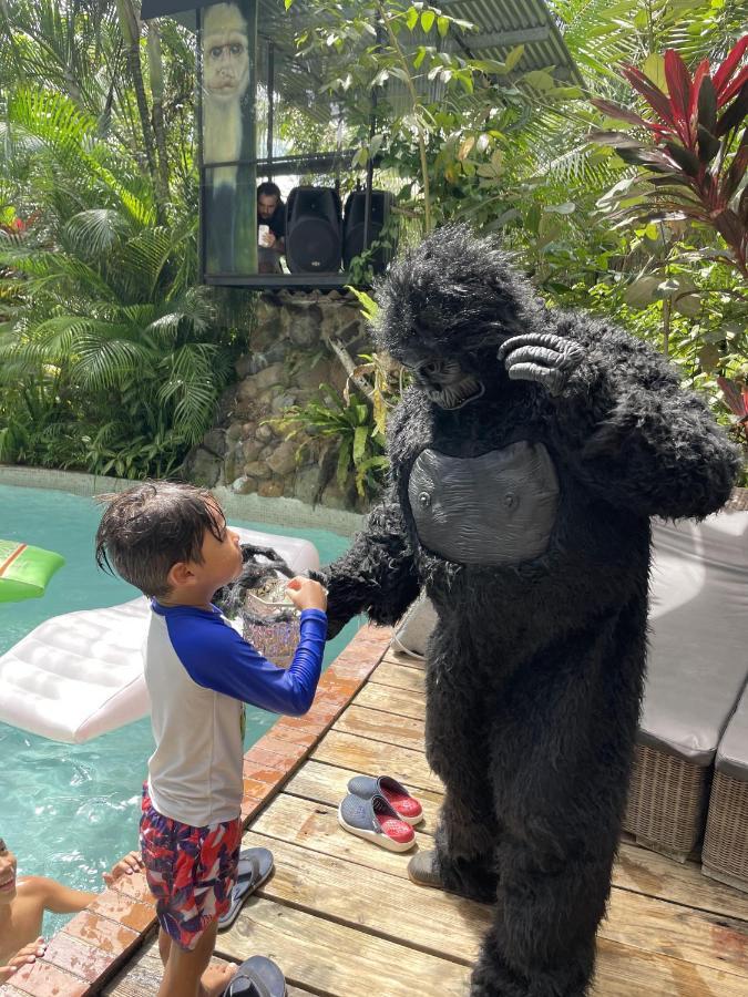 Monkey Panama Chilibre