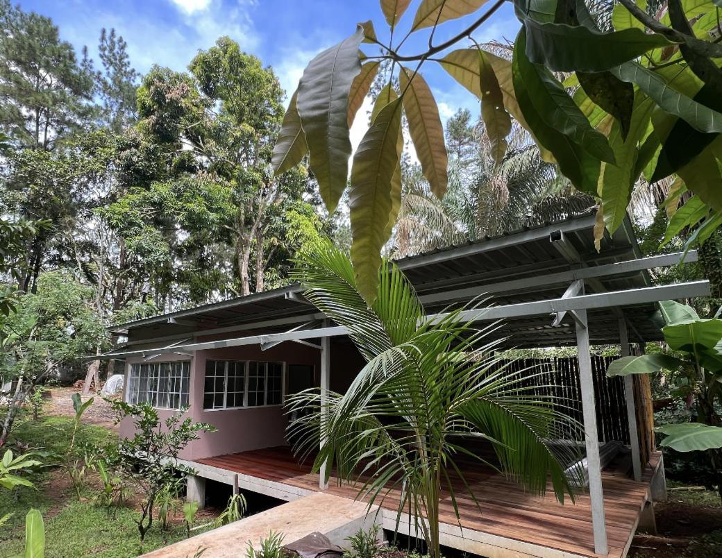 Hotel Monkey Panama
